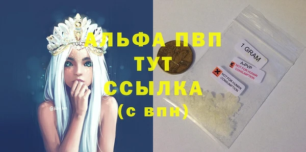 прущие грибы Нефтекумск