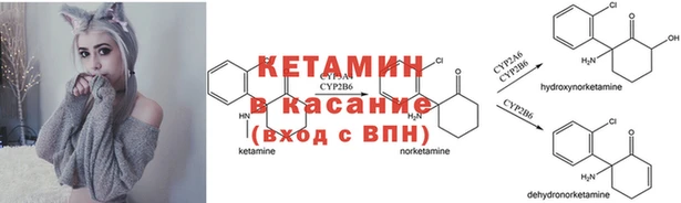 стафф Дмитров