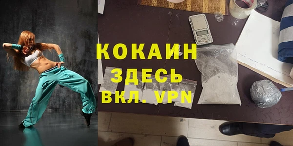 прущие грибы Нефтекумск