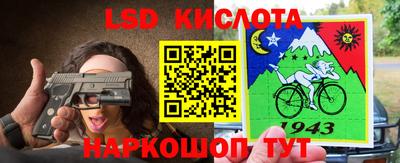 винт Гай