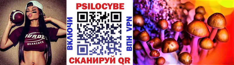 Галлюциногенные грибы MAGIC MUSHROOMS где найти наркотики Клинцы