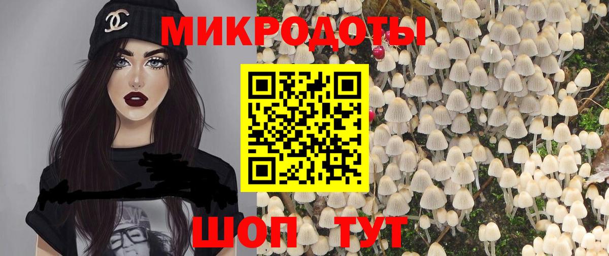 Клинцы  Псилоцибиновые грибы MAGIC MUSHROOMS  Вход с VPN 
